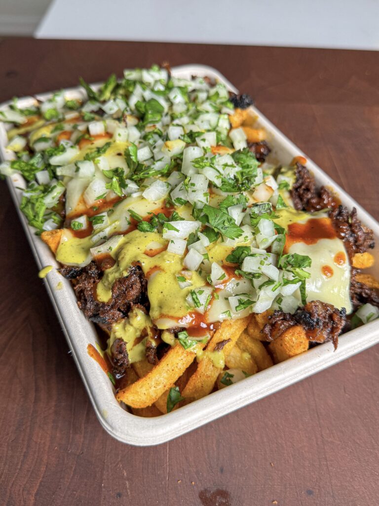birria cheesesteak loaded fries