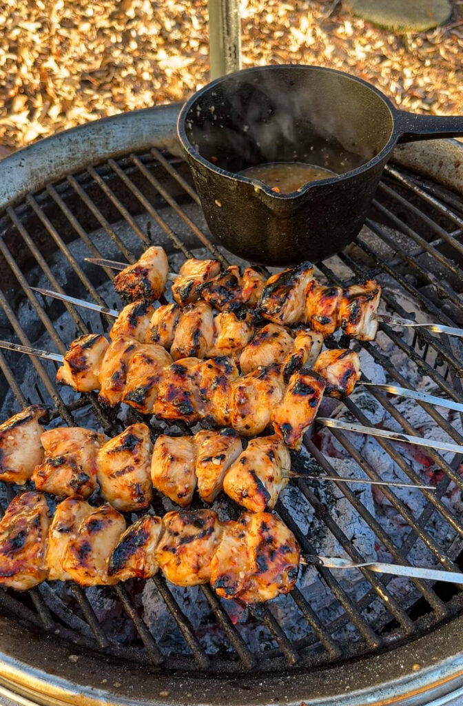 Orzo Salad & grilled Chicken Kabobs